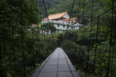 Footbridge amidst trees and plants in forest
