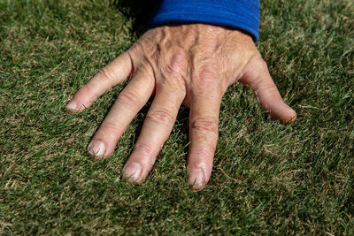 High angle view of man hand on grass