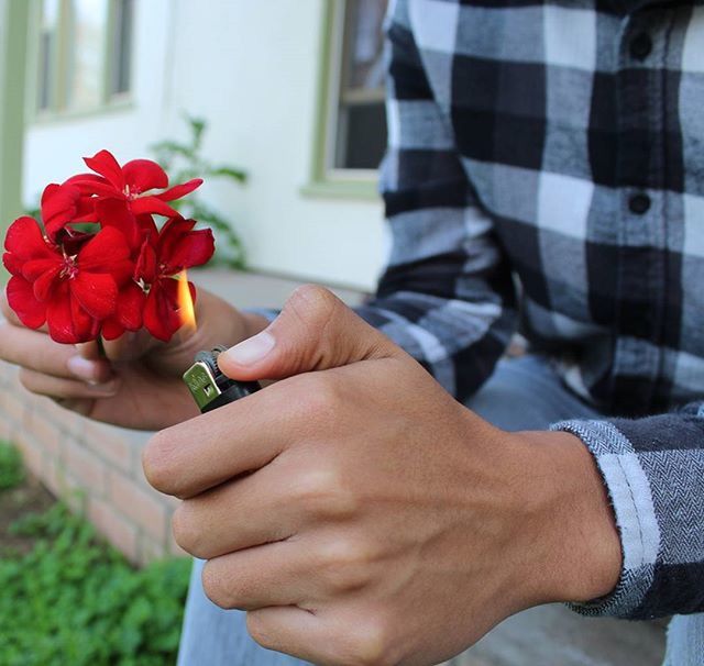 person, holding, lifestyles, focus on foreground, leisure activity, part of, flower, cropped, indoors, close-up, men, human finger, red, childhood, unrecognizable person