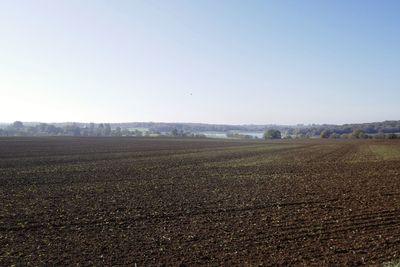 Scenic view of field against clear sky