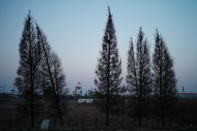 Bare trees and buildings against sky during winter