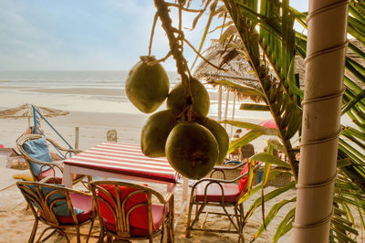 Fruits on table by sea against sky