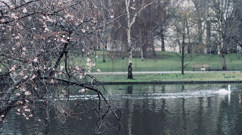 Bare trees by lake against sky