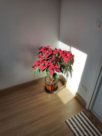 Close-up of potted plant on table at home