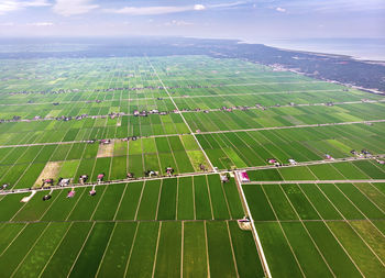 Aerial view of agricultural field against sky