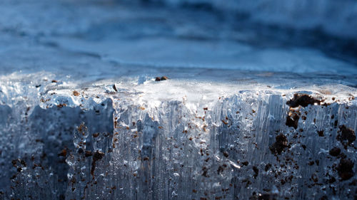 Close-up of frozen sea shore