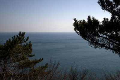 Scenic view of sea against clear sky