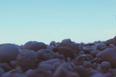 Close-up of pebbles on beach against clear sky