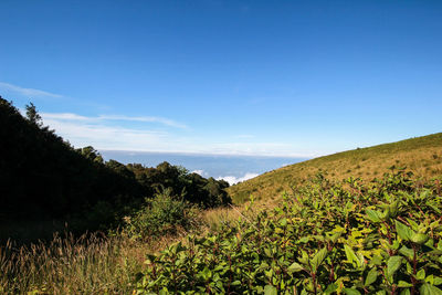 Scenic view of landscape against blue sky