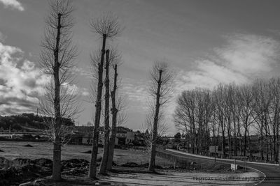 Bare trees on landscape against sky