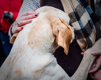 Midsection of person with dog