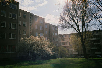 Buildings in city