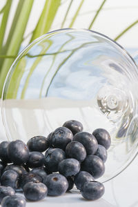 Close-up of berries on glass table