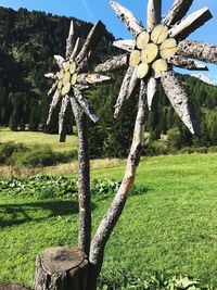 View of trees on field