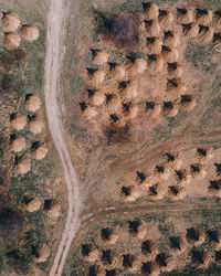 High angle view of piles of reed