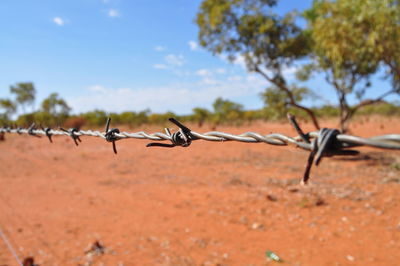 Barbed wire on field against sky