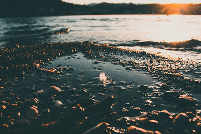 Scenic view of river during sunset