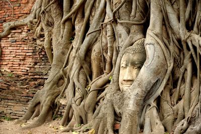 Sculpture of buddha statue