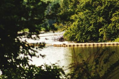 Scenic view of bridge over river