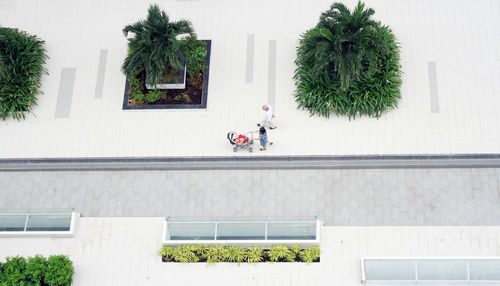 High angle view of people in city street