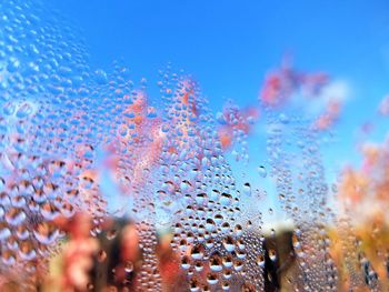 Close-up of wet glass window against blue sky