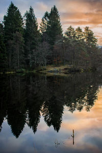 Reflection of trees in lake against sky