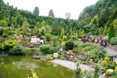 High angle view of river and trees in garden