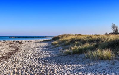 Scenic view of beach against clear blue sky