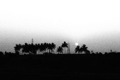 Silhouette trees on field against sky during sunset