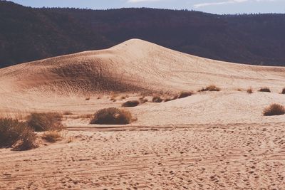 Scenic view of desert