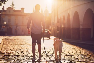 Rear view of man walking with dog on street