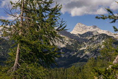 Highest slovenian mountain triglav, view from far