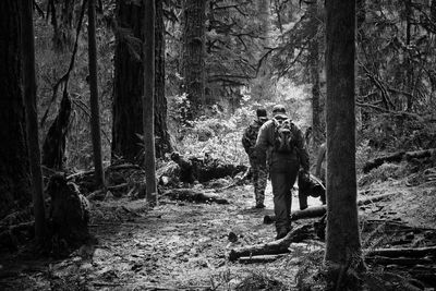 Man and trees in forest