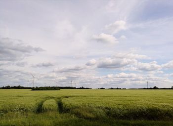 Scenic view of field against sky