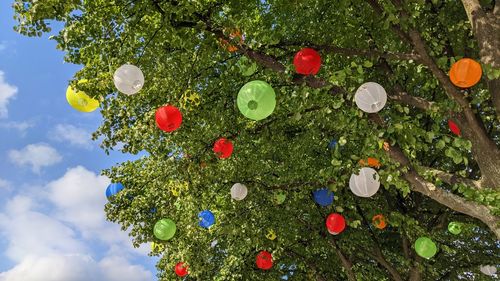 Low angle view of christmas tree against sky