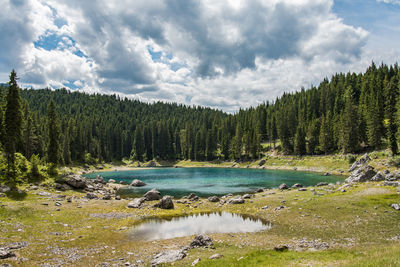 Scenic view of waterfall in forest against sky