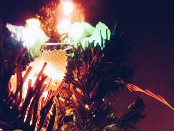 Close-up of illuminated christmas tree at night