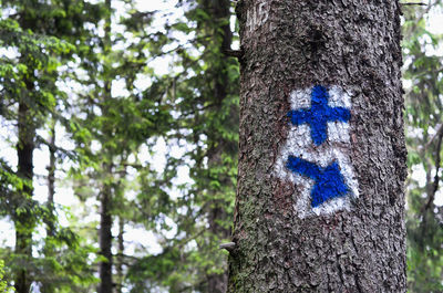 Low angle view of tree trunk in forest