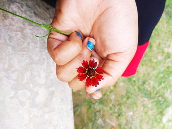 Close-up of hand holding flower