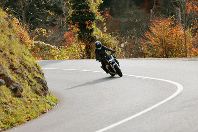 Man riding bicycle on road