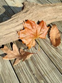 Close-up of dry leaves on wooden plank