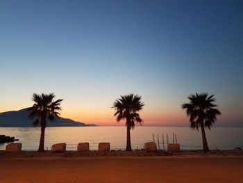 Scenic view of palm trees on beach at sunset