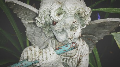 Close up of plant against blurred background