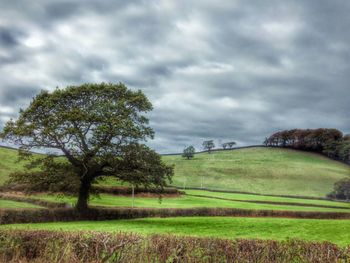 Scenic view of grassy field against cloudy sky