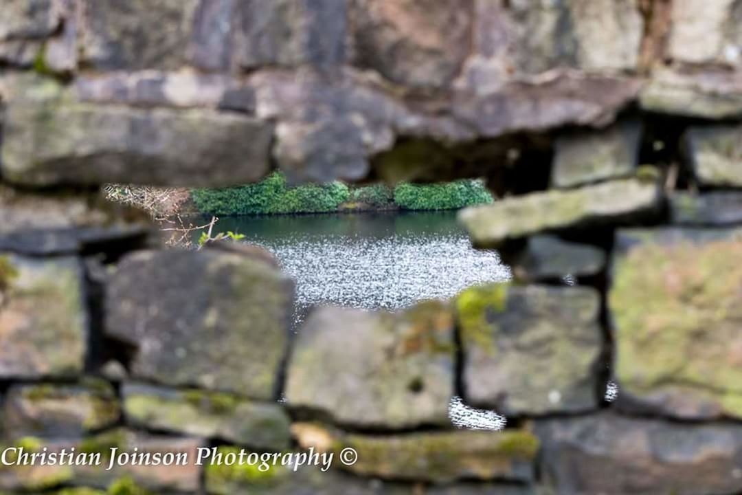 CLOSE UP OF STONE