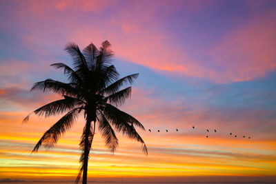 Silhouette coconut palm tree against romantic sky at sunset