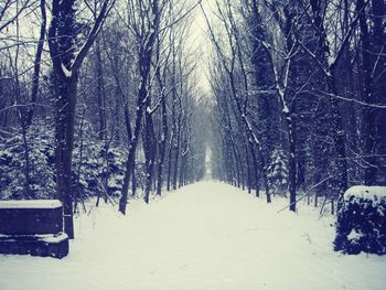 Snow covered road passing through trees