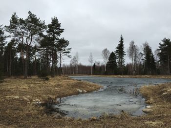 Scenic view of landscape against cloudy sky