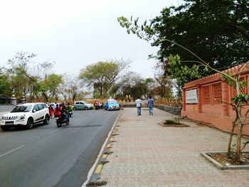 Road passing through forest