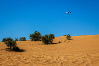 Scenic view of desert against clear blue sky